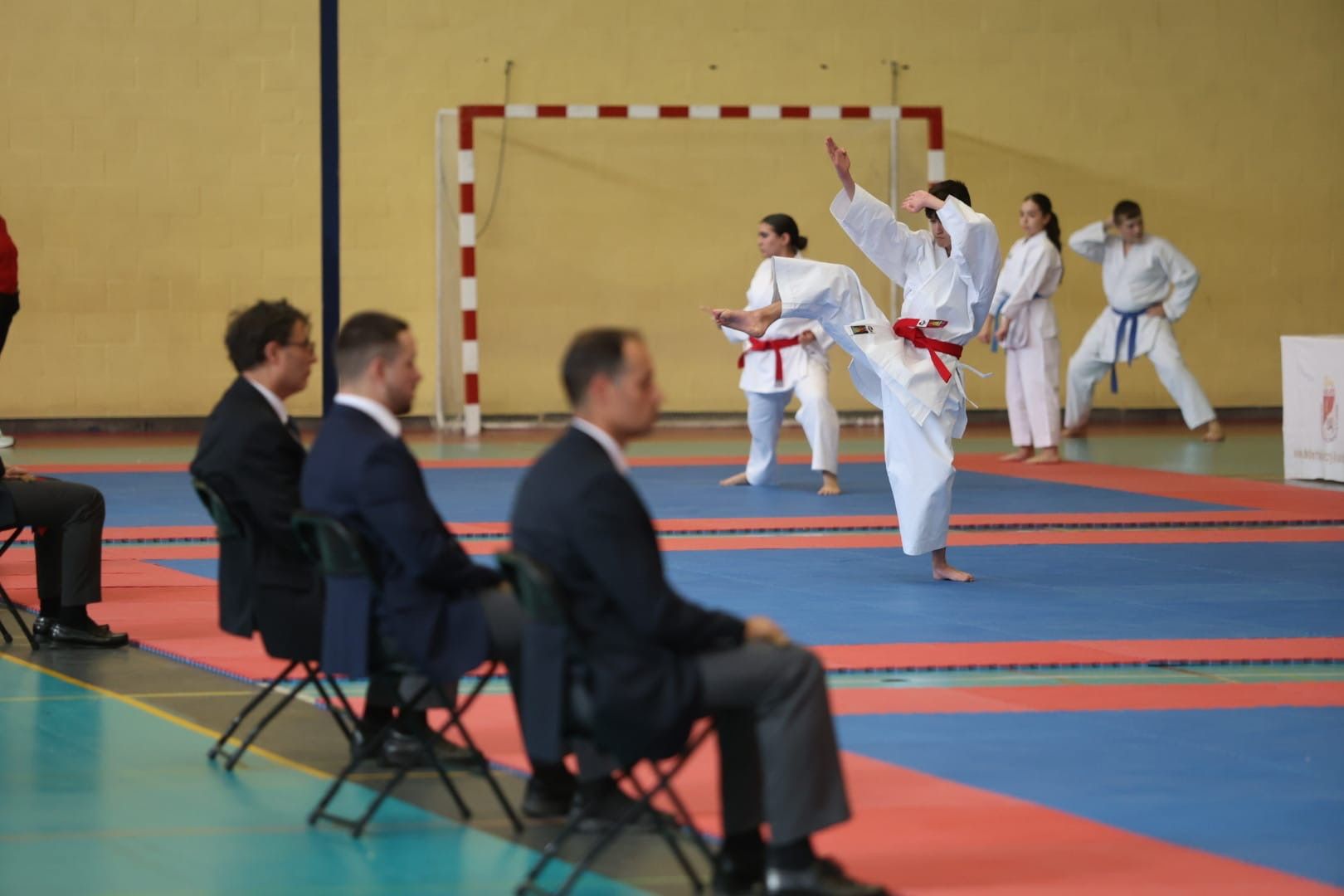 Provincial de kárate (5)