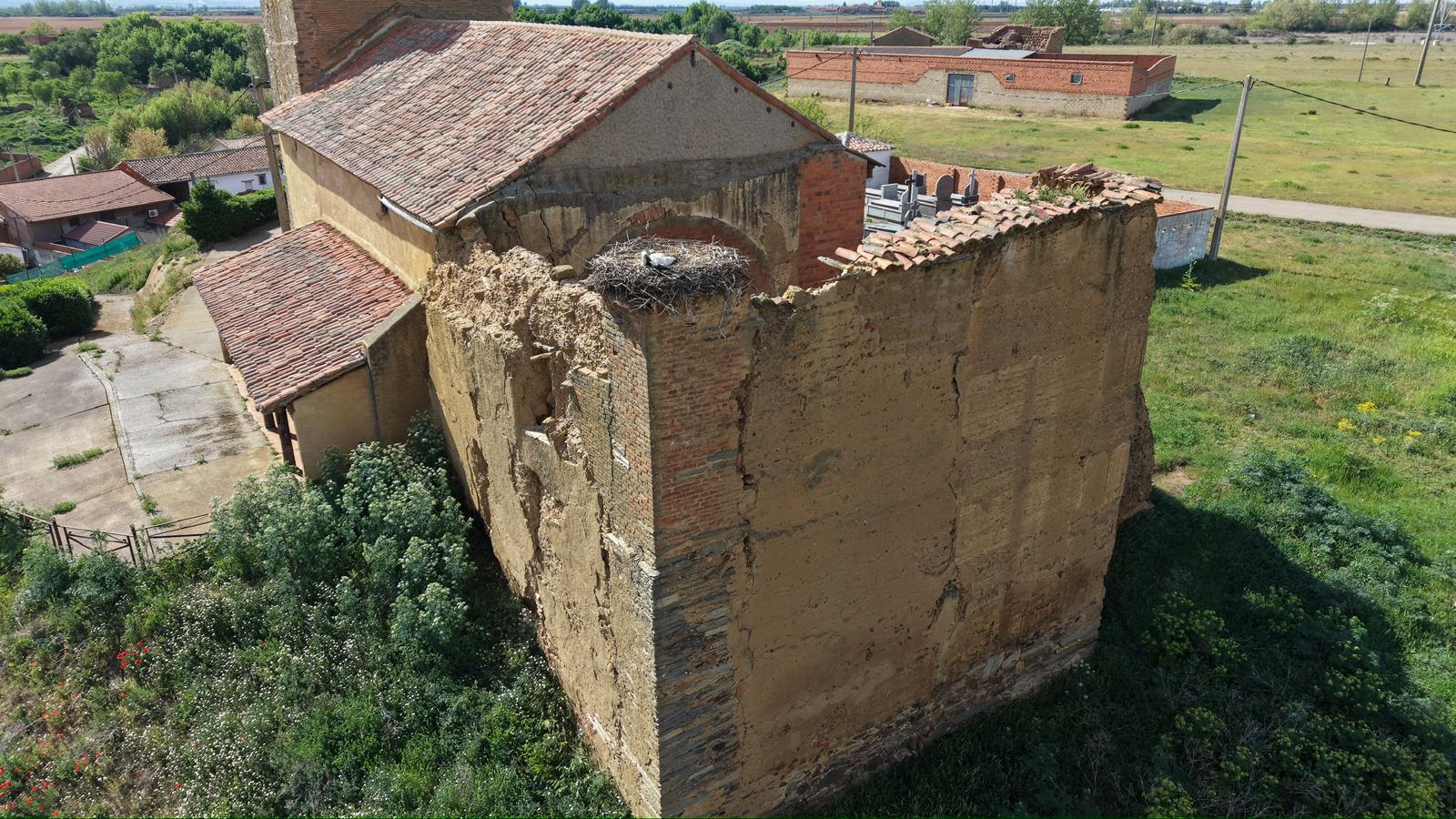 Cigüeñas muertas que se descomponen en la torre de la iglesia de La Antigua. | L.N.C.