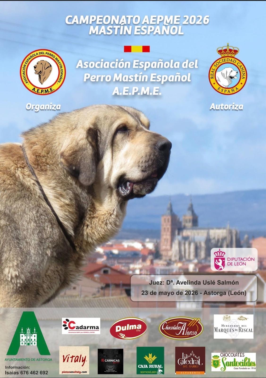 Cartel del certamen. Cartel del certamen.