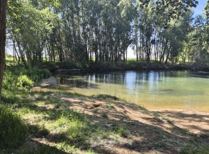 Vista de la zona del río Cea, en la zona del Molino, donde se hará la playa fluvial. | L.N.C.