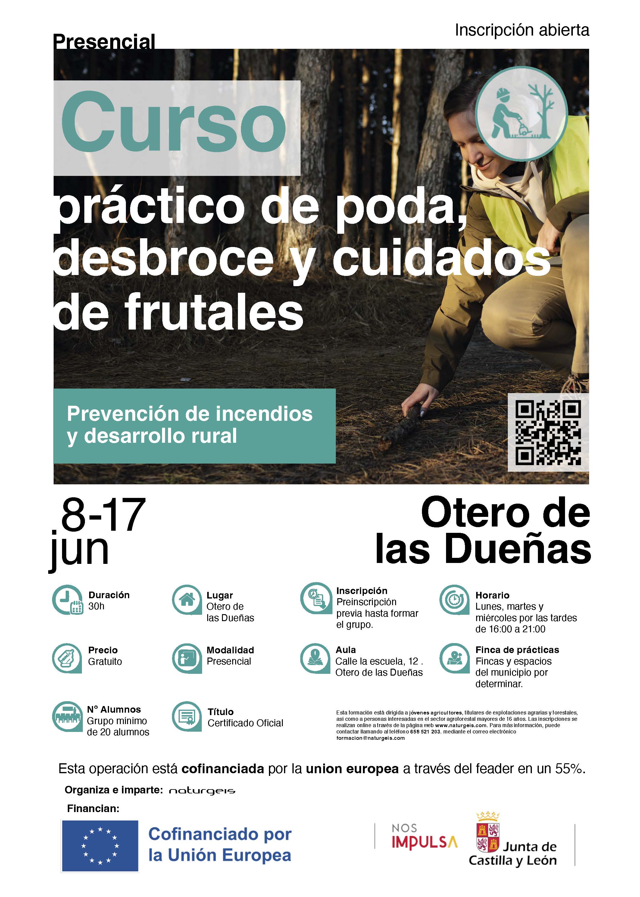 Cartel del curso. Cartel del curso.