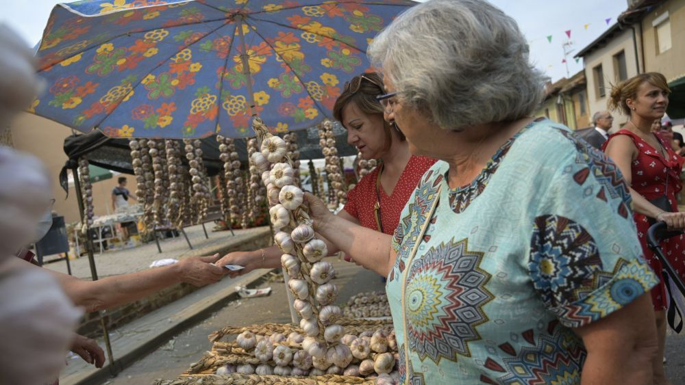 El sábado 18 de julio se celebrará la centenaria Feria del Ajo.