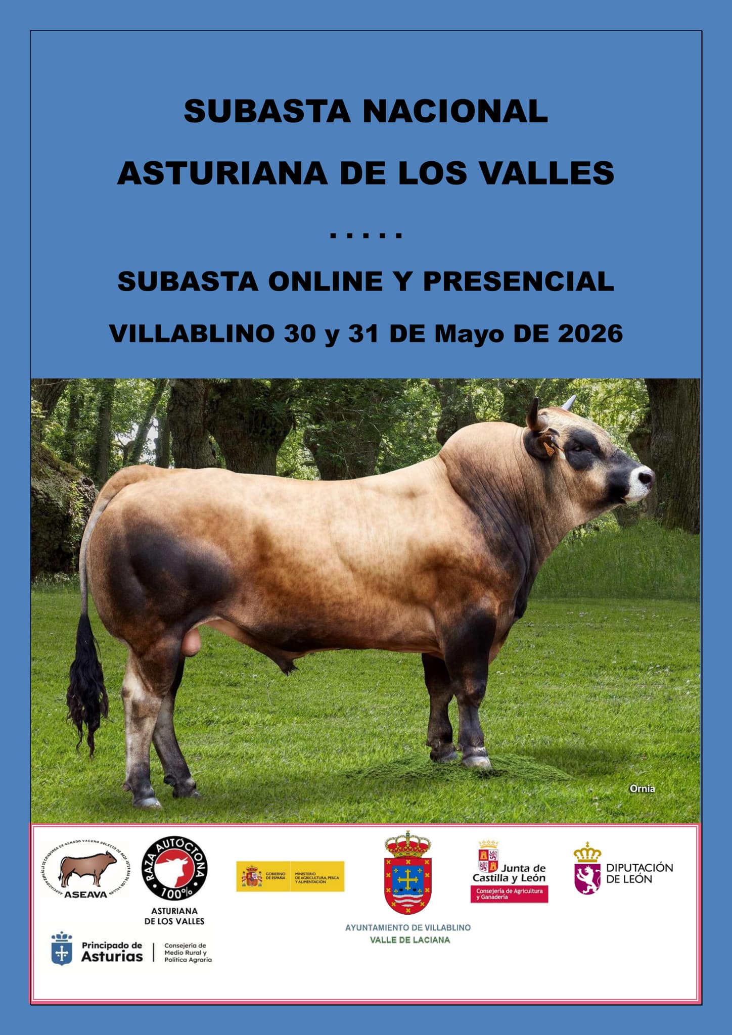 Cartel del evento.