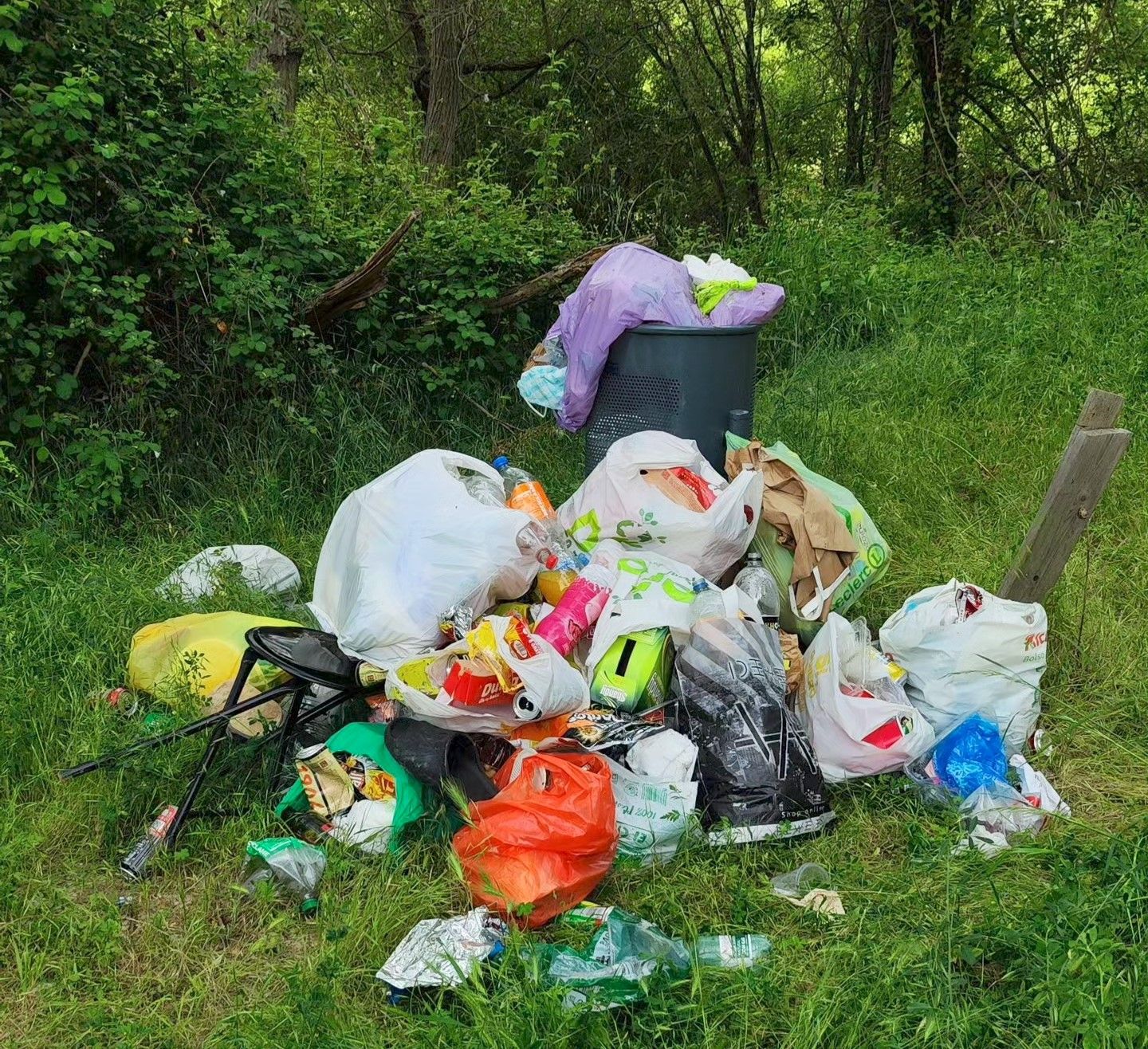 Imagen facilitada por los vecinos de la cantidad de basura que había este martes en la ribera del Torío. | L.N.C.