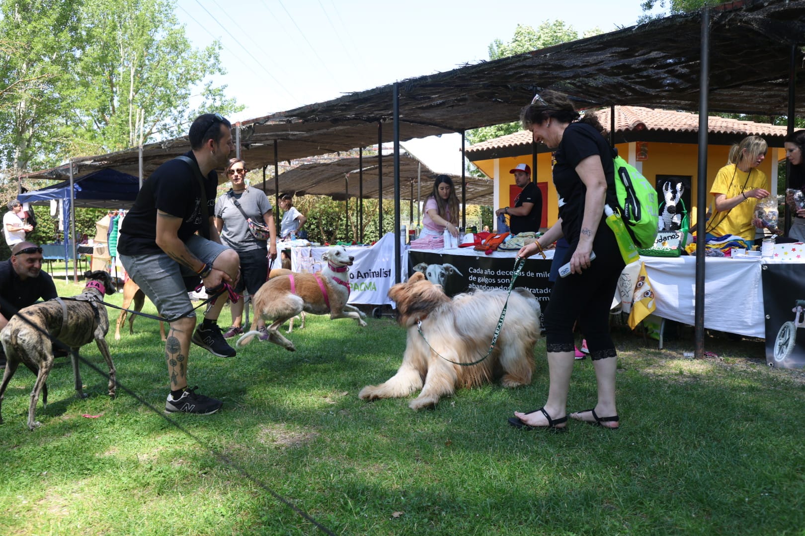 Décima edición de la  ‘MásQFiesta', organizada por la asociación 'MásQPerros'. | FERNANDO OTERO