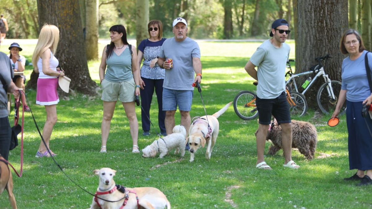más que perros candamia León (3)