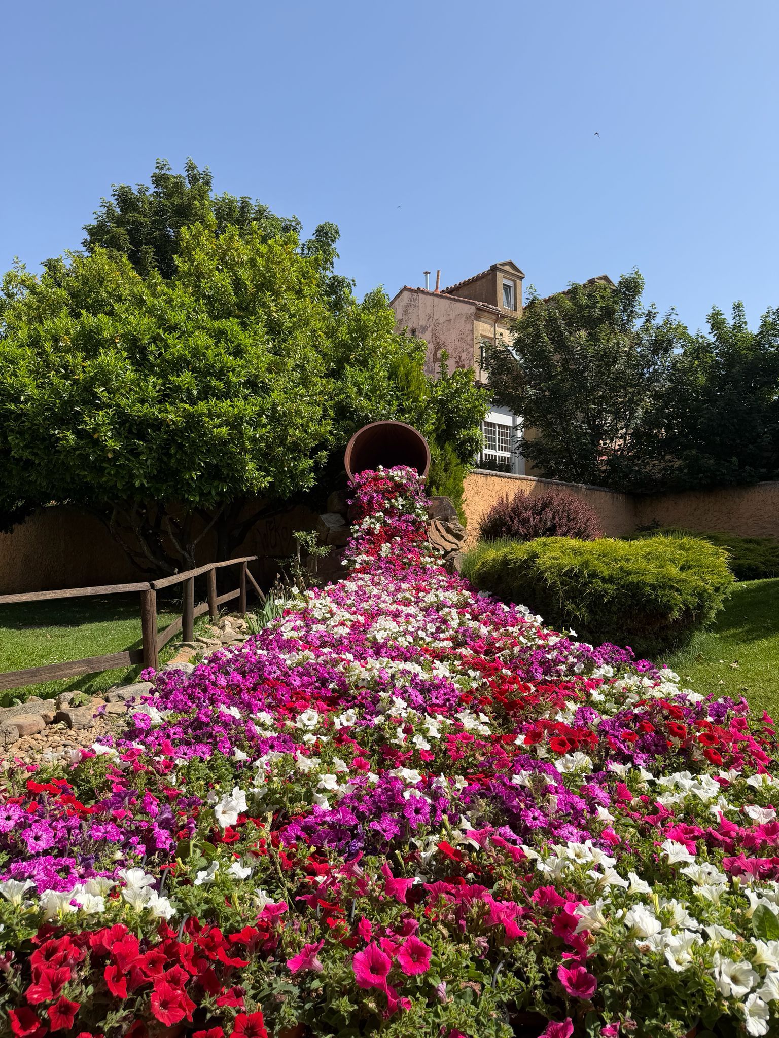 El colorido de las flores se adueña de cada rincón de la bimilenaria. | L.N.C.