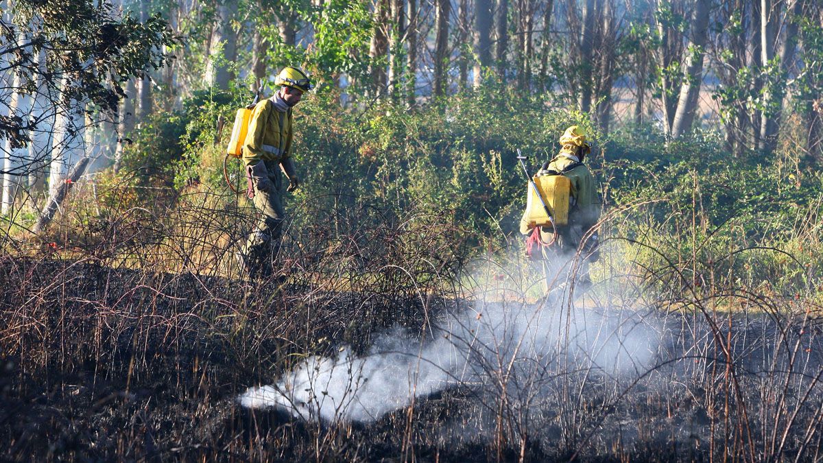 Brigadas forestales, en una foto de archivo, en la extinción de un incendio en el Bierzo. | CÉSAR SÁNCHEZ (ICAL)