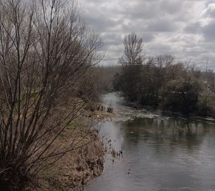 La Bañeza pide a CHD que actúe para limpiar la vegetación acumulada en los ríos a su paso por su municipio. | L.N.C.