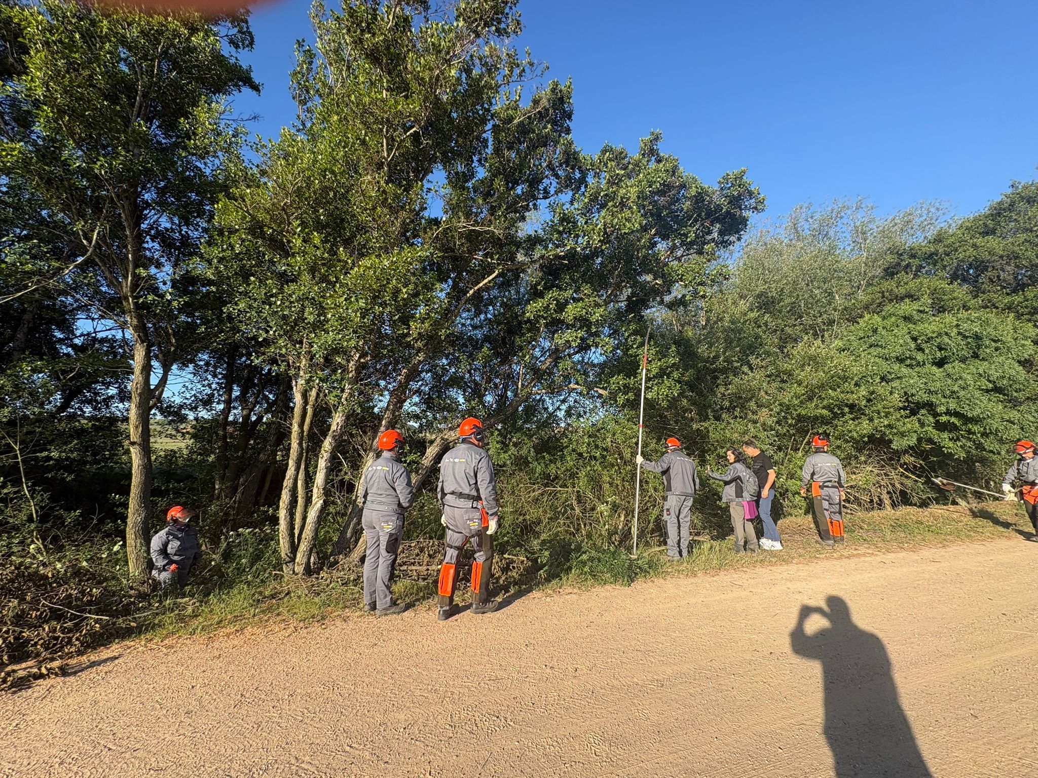 Los alumnos durante la adecuación de la zona del Anillo Verde. | L.N.C.