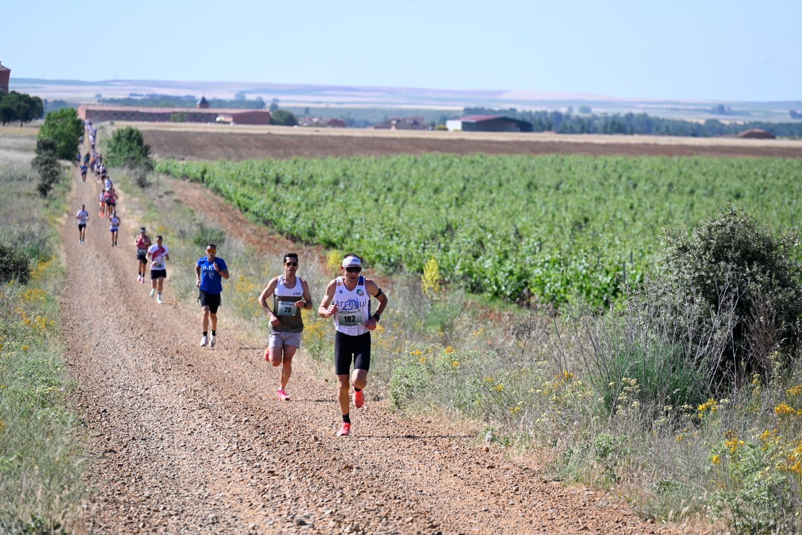 Carrera Entrecepas (6)