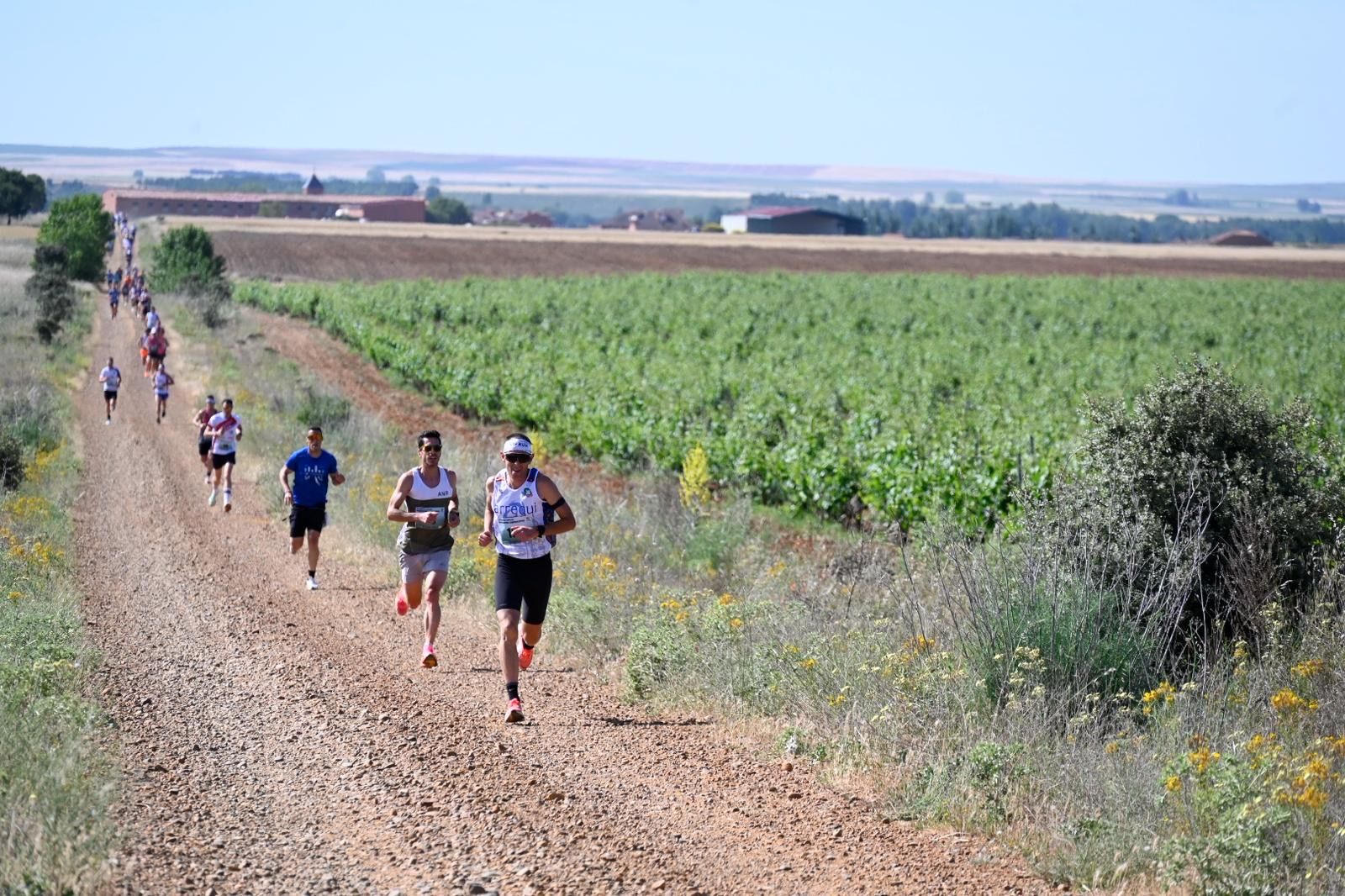 Carrera Entrecepas (9)