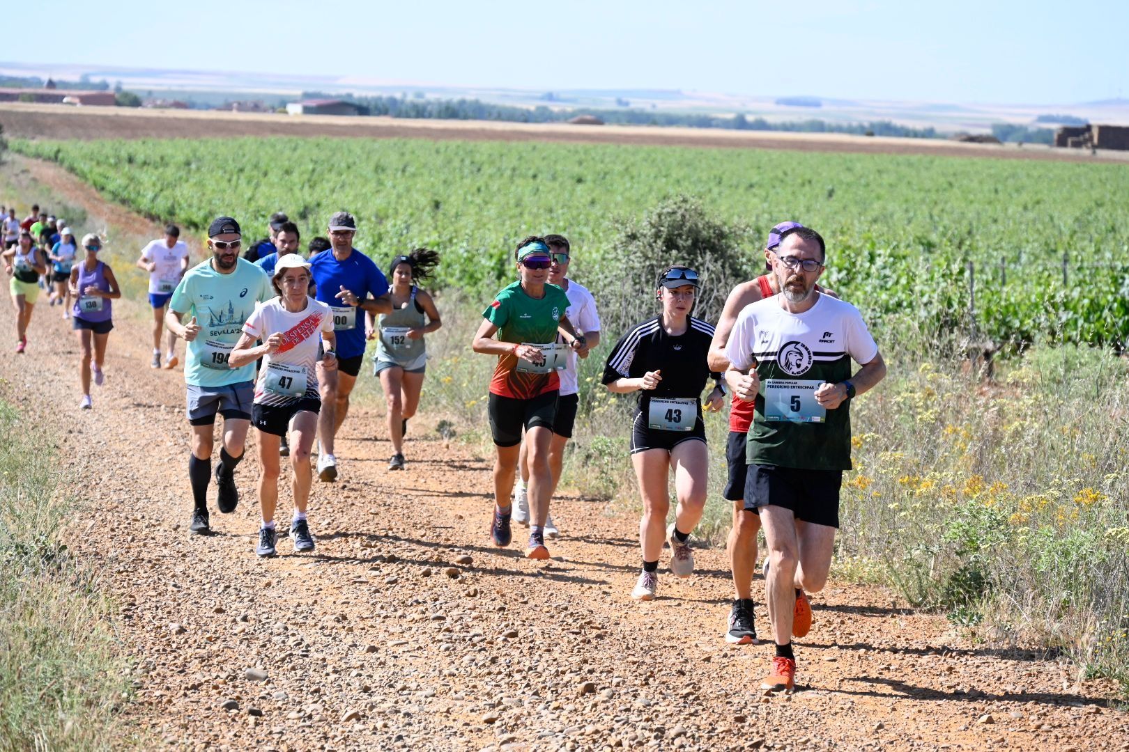 Carrera Entrecepas (13)
