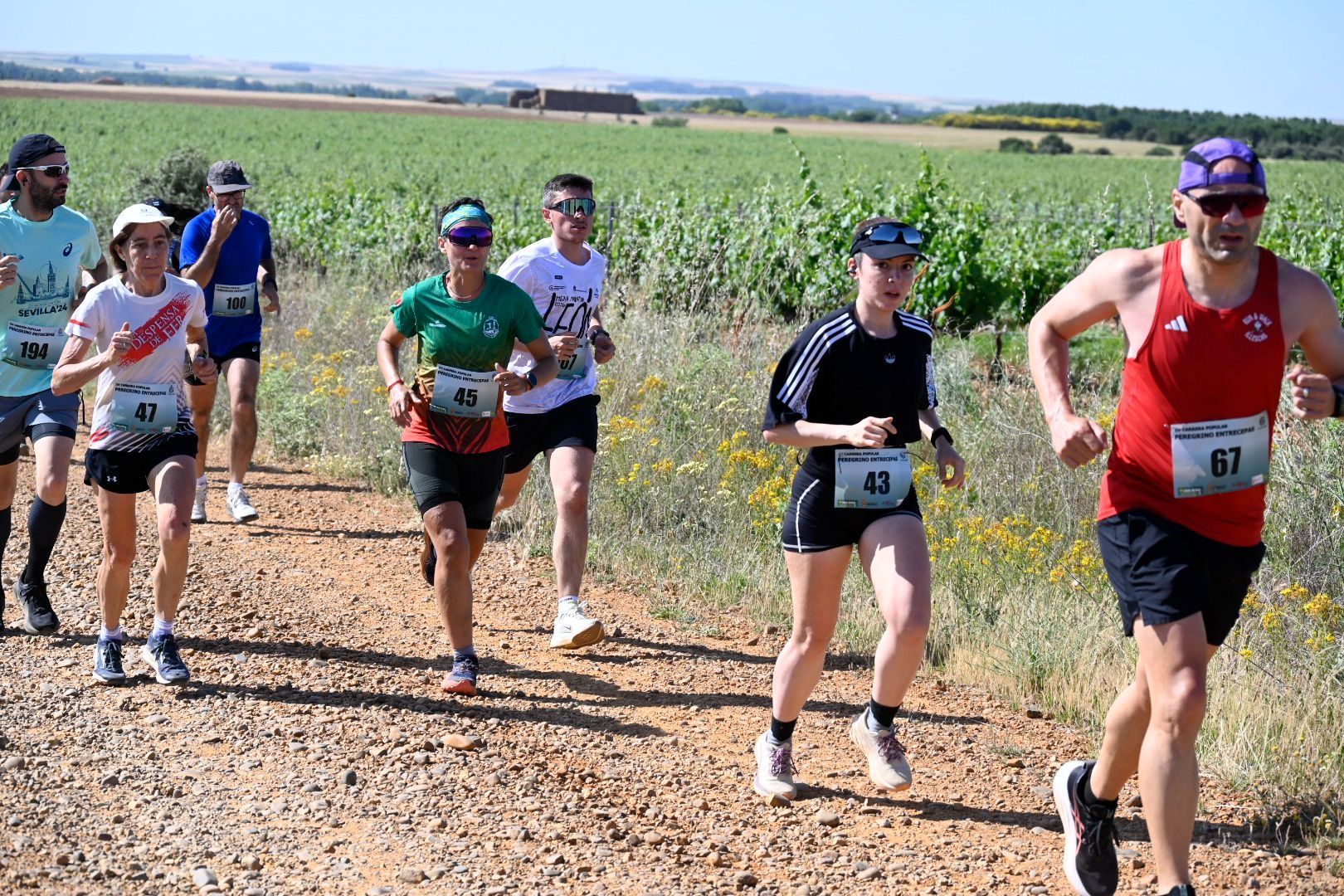 Carrera Entrecepas (17)