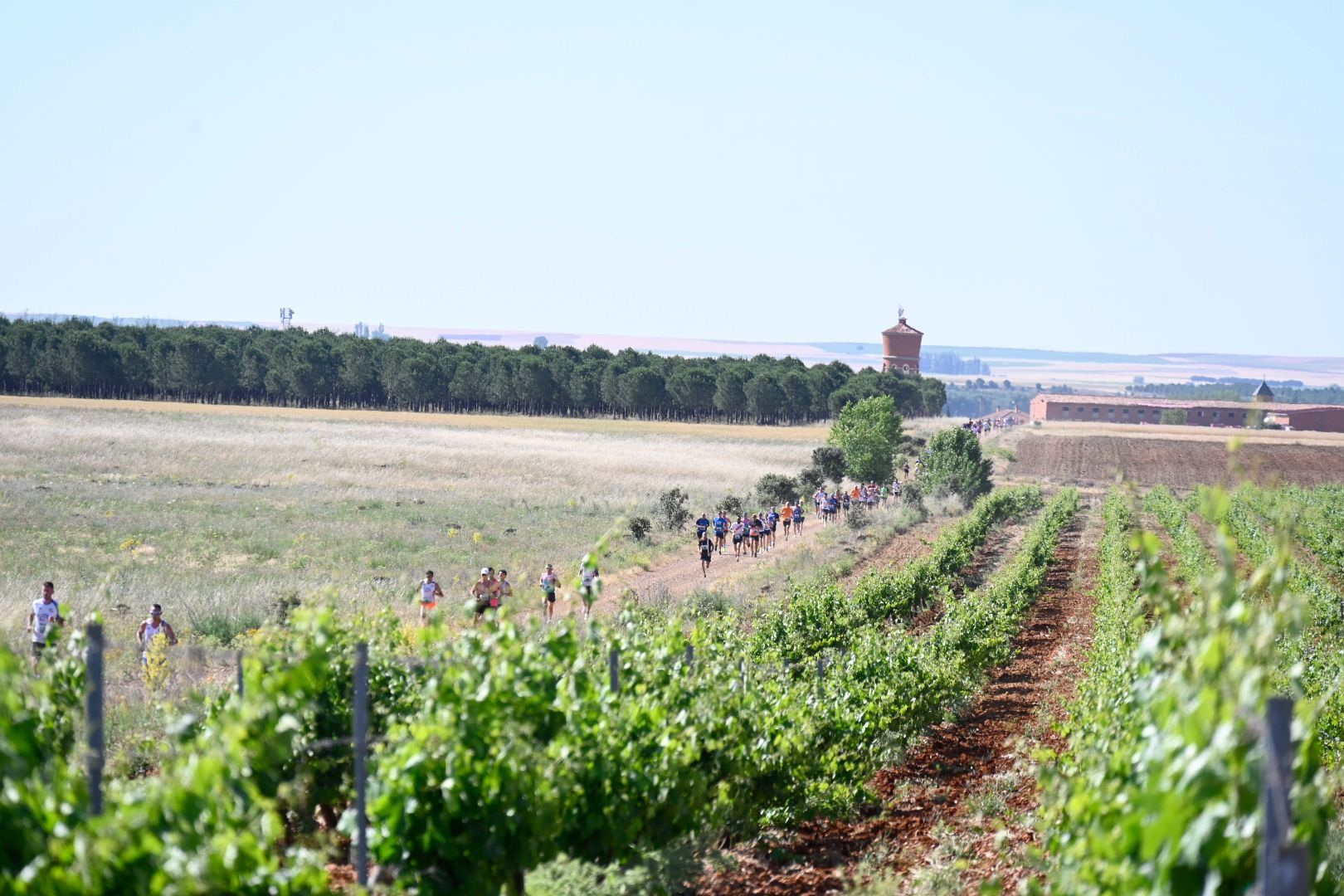 Carrera Entrecepas (24)