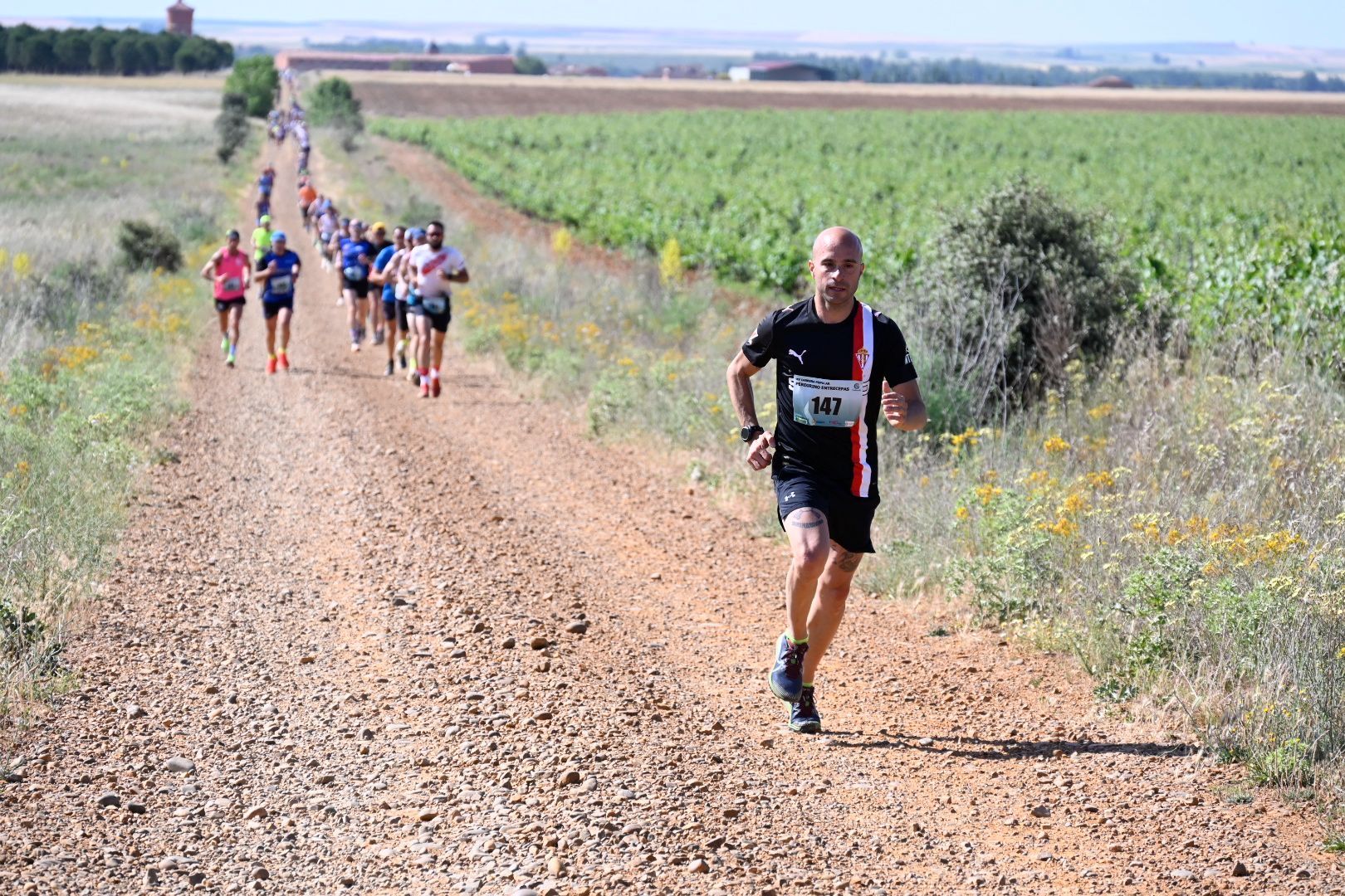 Carrera Entrecepas (25)
