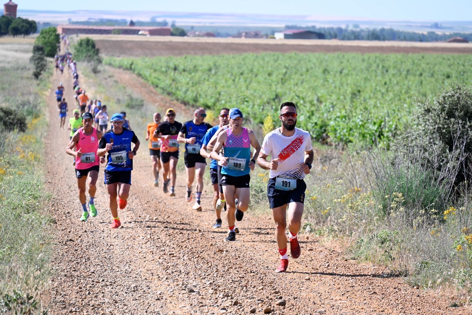 Un instante de la carrera Entrecepas. | SAÚL ARÉN