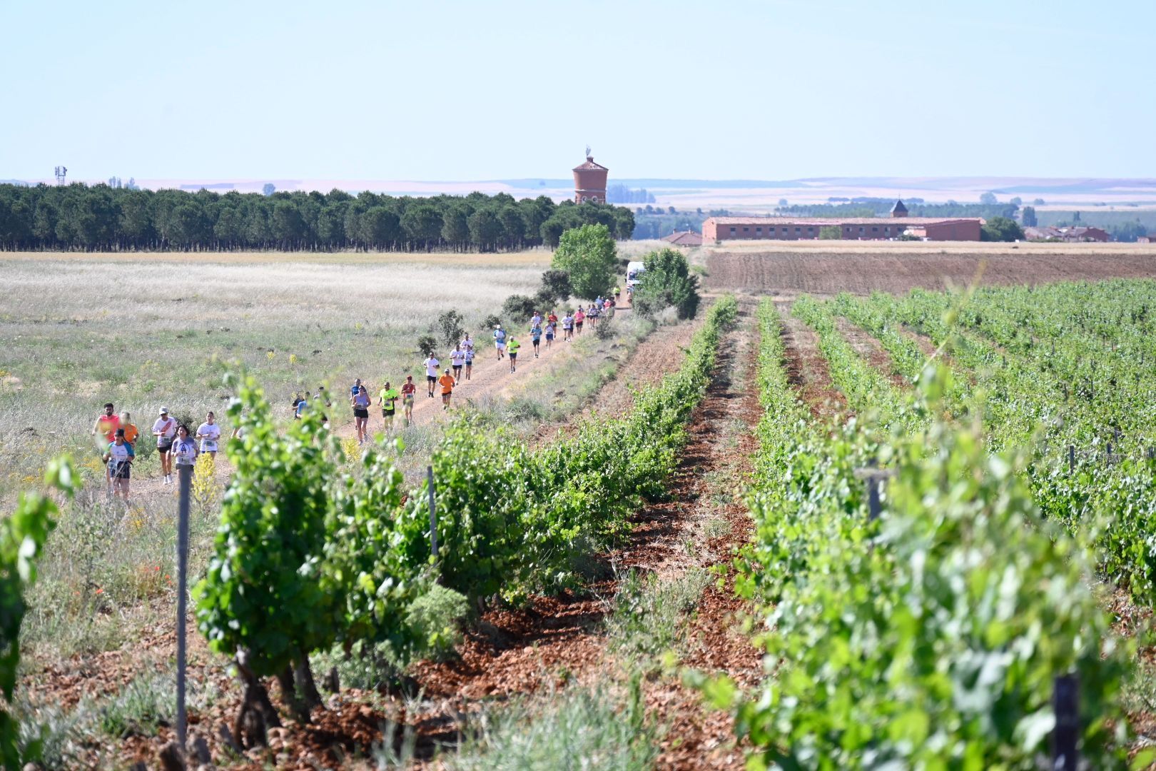 Carrera Entrecepas (34)