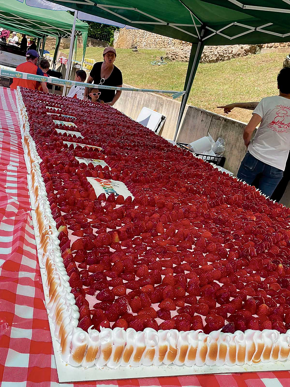 La Feria de la Fresa de Almanza, en imágenes 