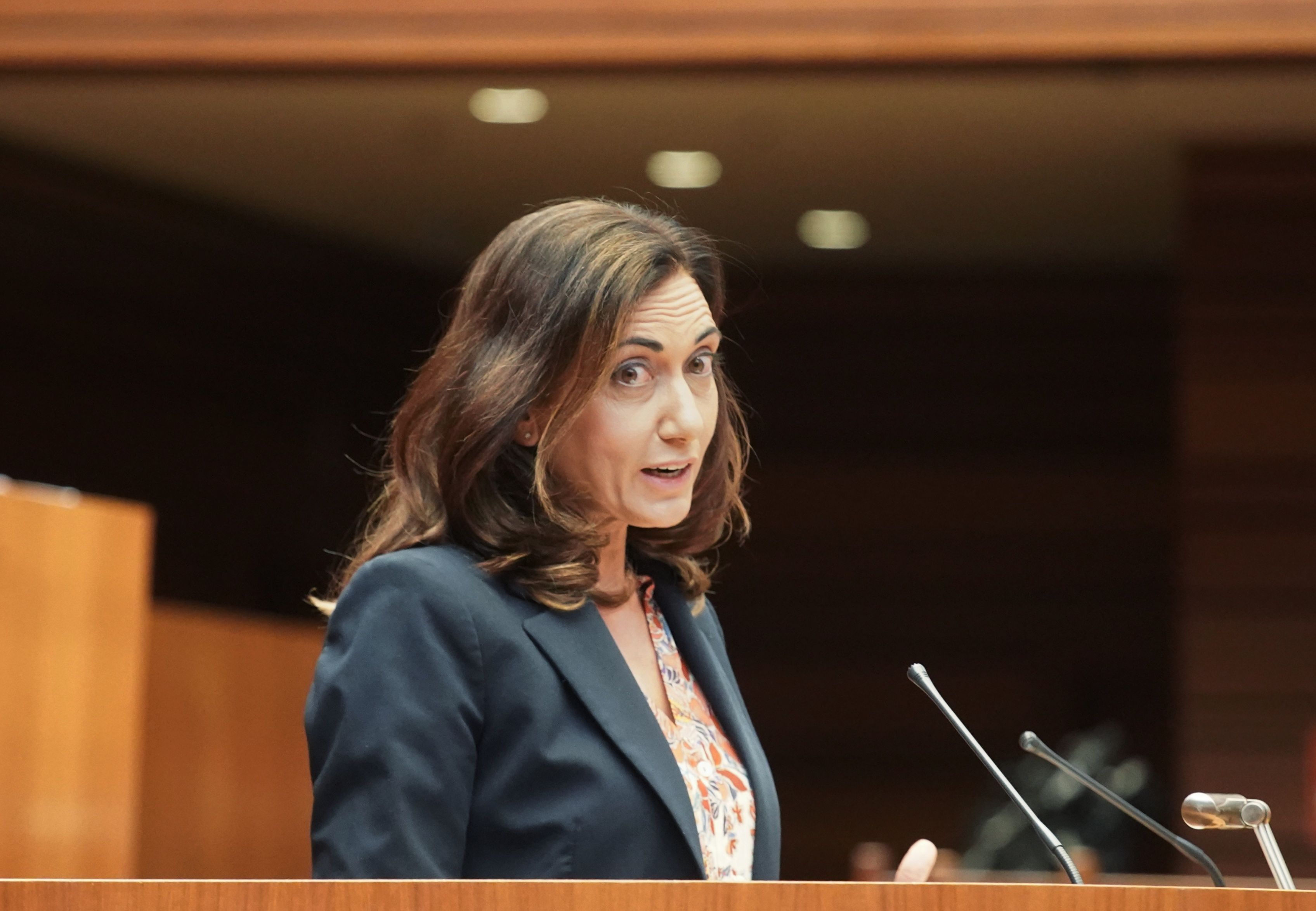 La portavoz de la Unión del Pueblo Leonés (UPL) en las Cortes, Alicia Gallego. |ICAL
