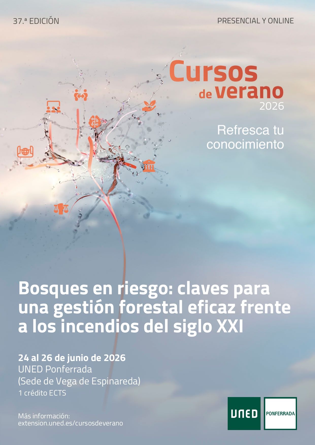 Cartel del curso. Cartel del curso.
