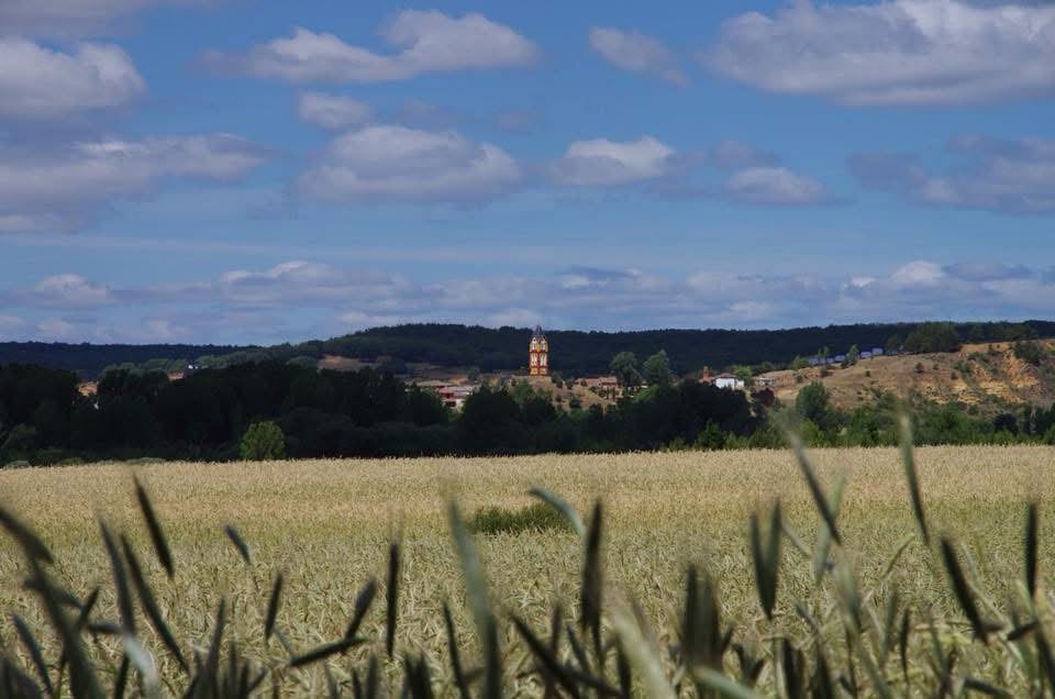 Vista de una zona de cultivos de Almanza. | L.N.C.