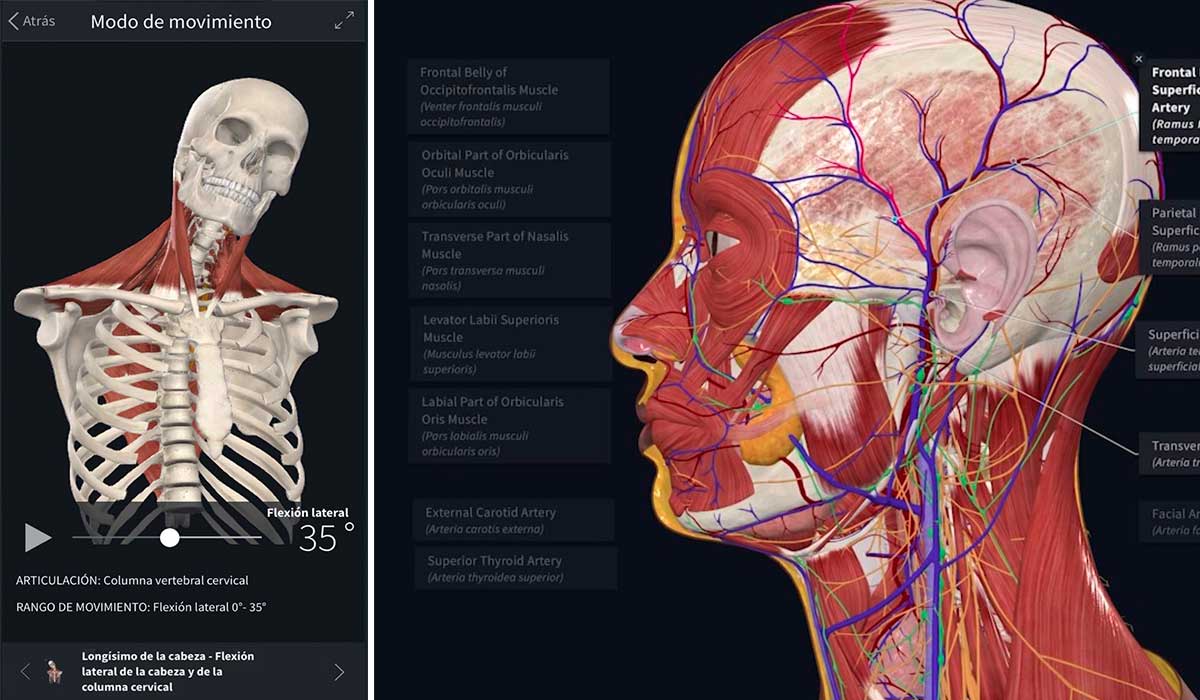 Cada alumno de Medicina tendrá una licencia para acceder a 'Complete Anatomy'. | L.N.C.