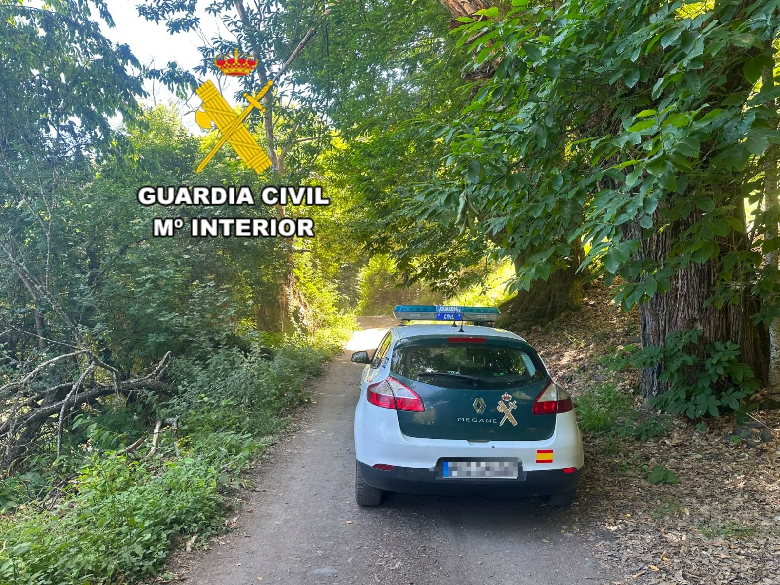 Dispositivo de búsqueda en Páramo del Sil. | GUARDIA CIVIL