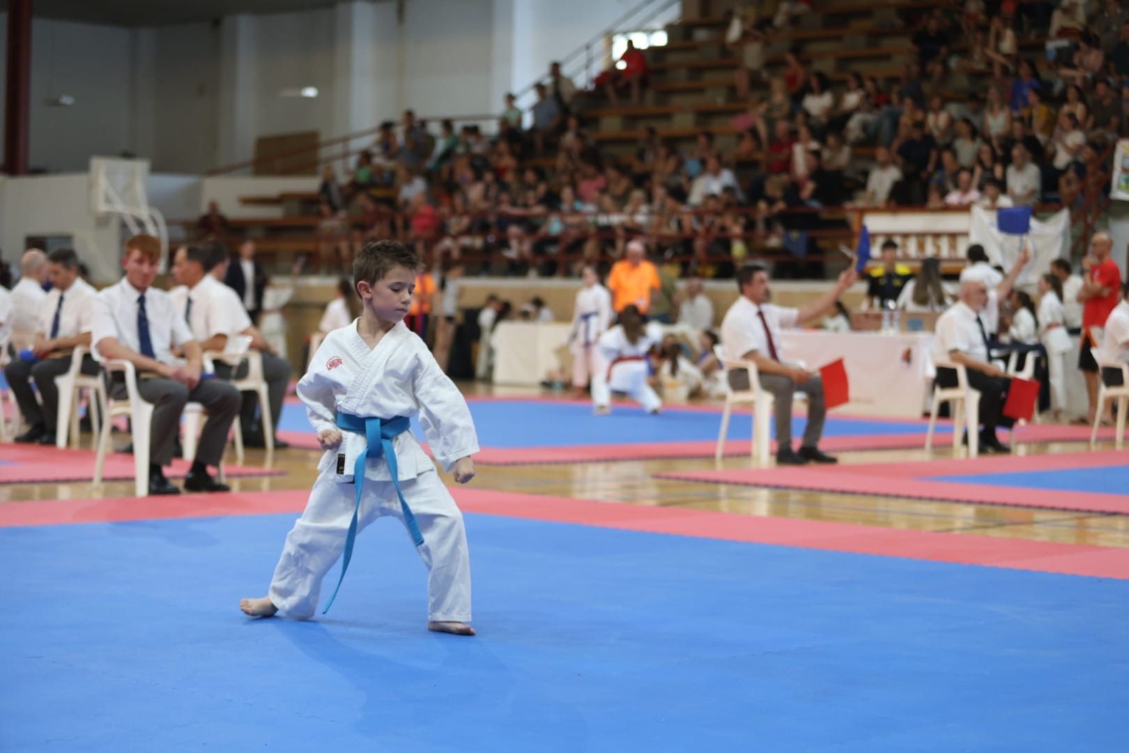 Campeonato de Kárate en La Bañeza (1)