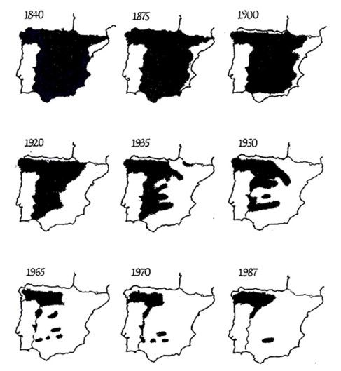 Mapas de la evolución de la presencia del lobo, y el mastín, en la Península | L.N.C.