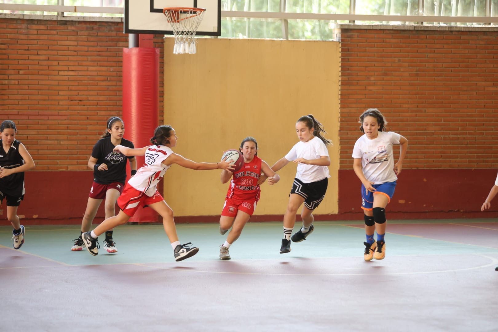 Torneo minibasket femenino del Colegio Leonés (4)