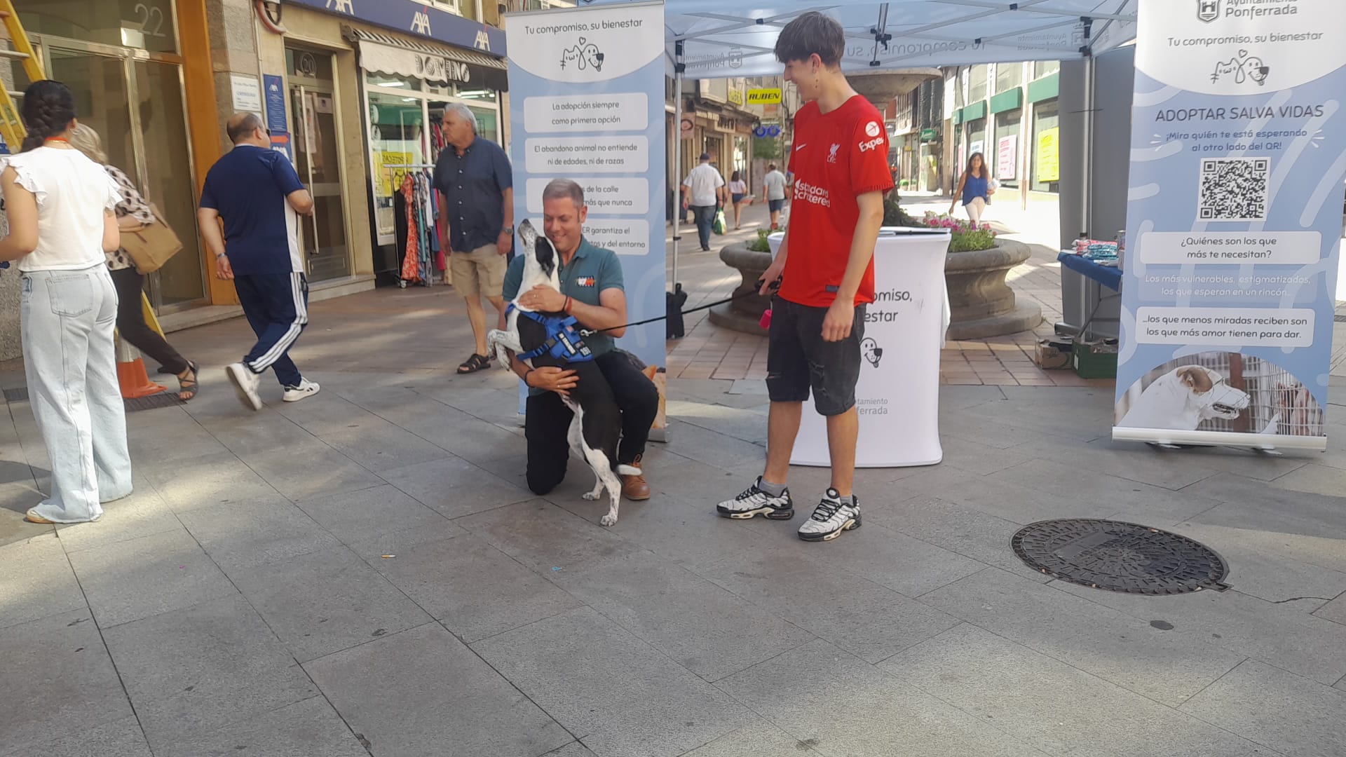 El concejal con los perros que se mostraron en el centro de Ponferrada, durante la campaña de concienciación. | MAR IGLESIAS