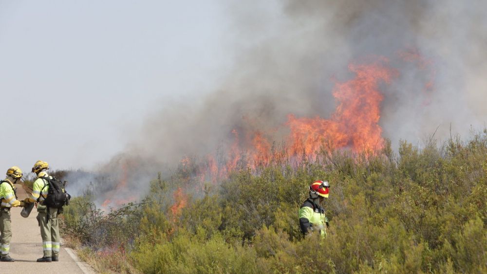 Bomberos luchan contra las llamas del fuego en un incendio de la provincia. | ICAL