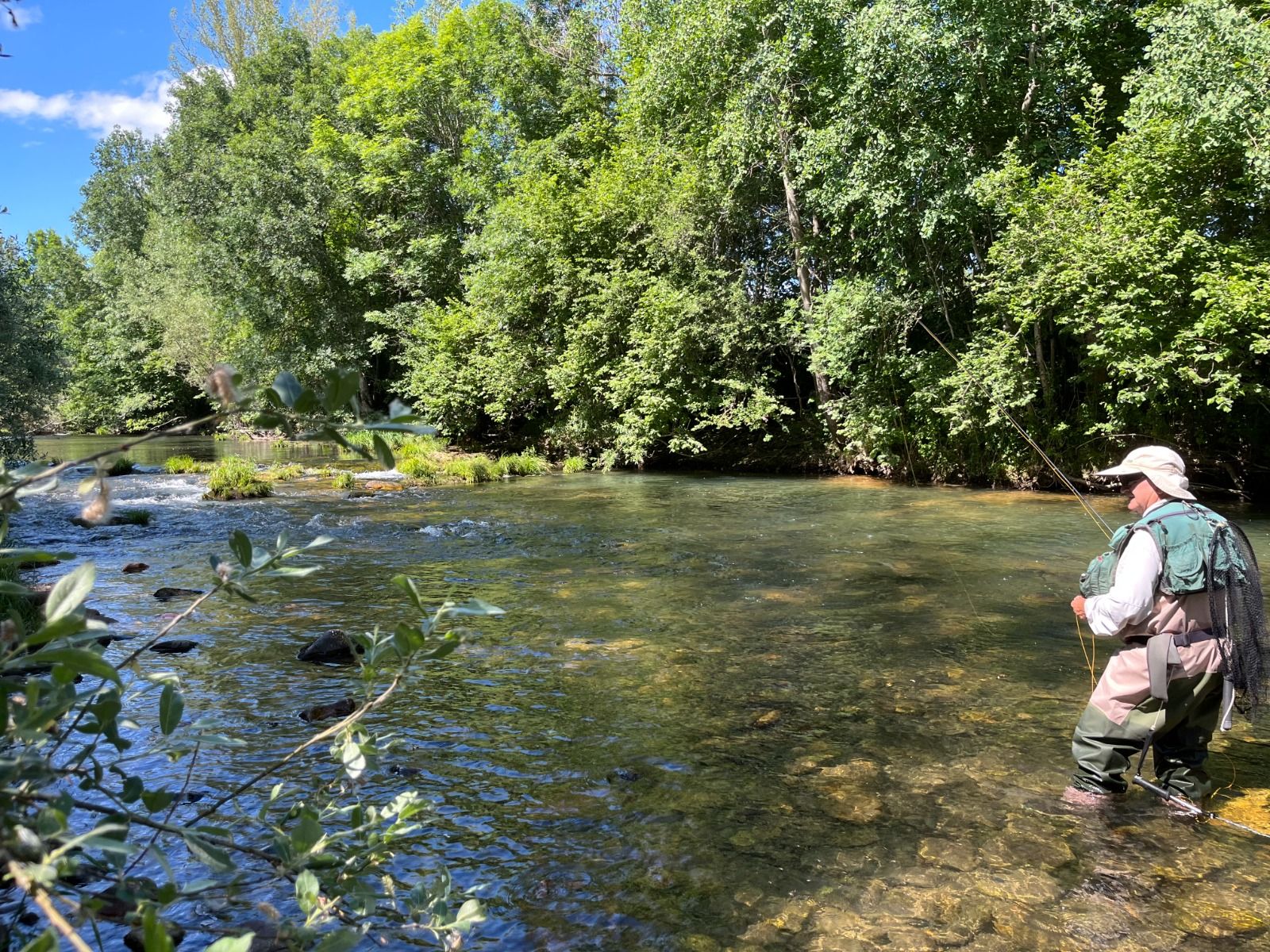 Pescando a mosca seca en el río Torío. R.P.N.