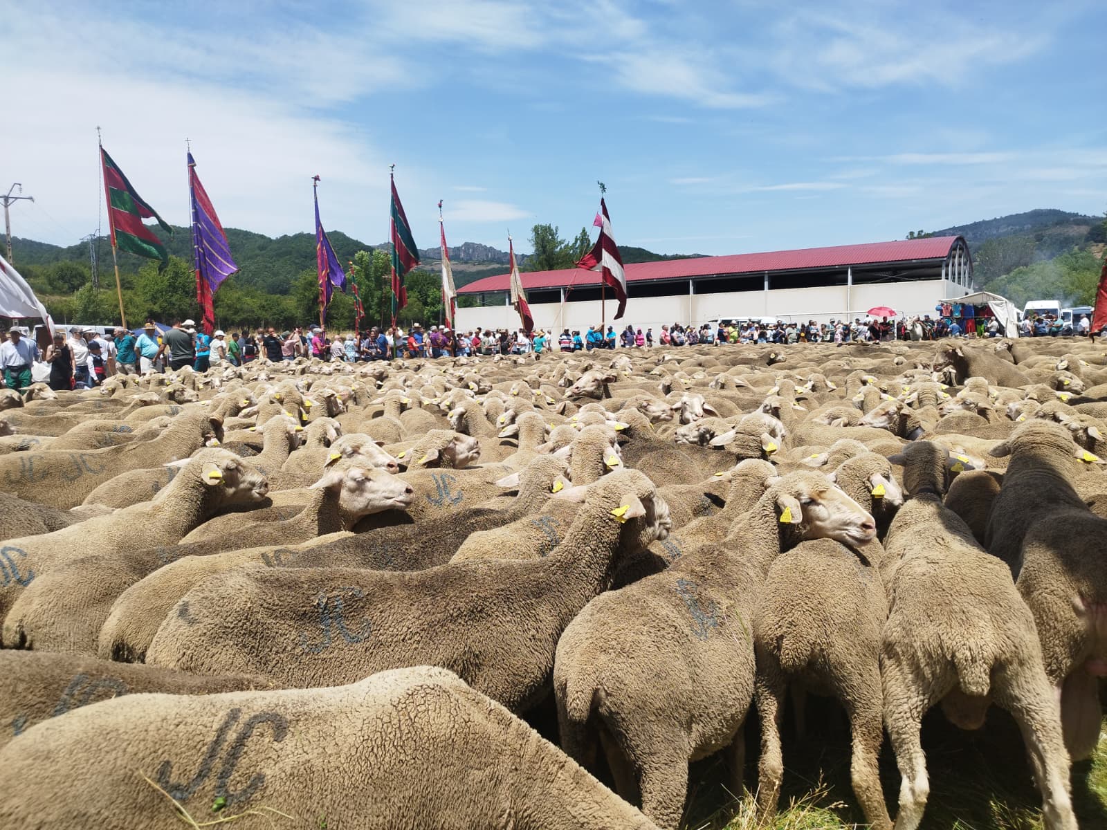 Fiesta de la trashumancia en Prioro. | RAFA GARCÍA