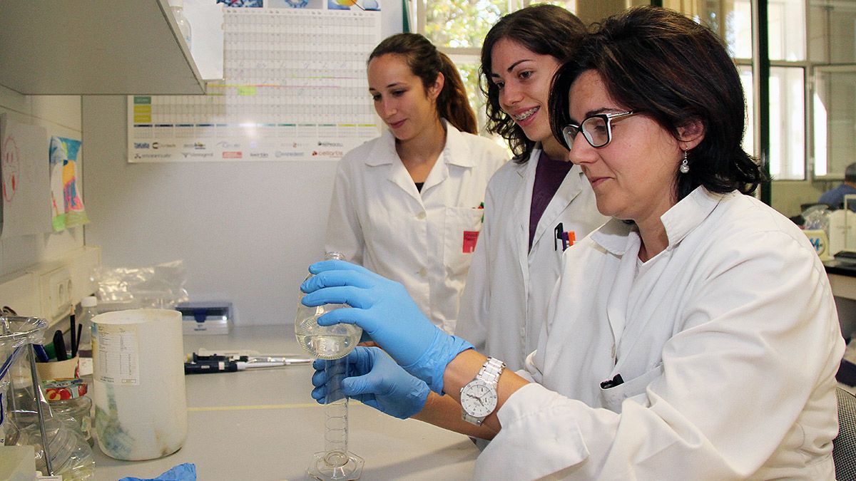 El equipo de Juan José Rubio, en los laboratorios del instituto. | ICAL