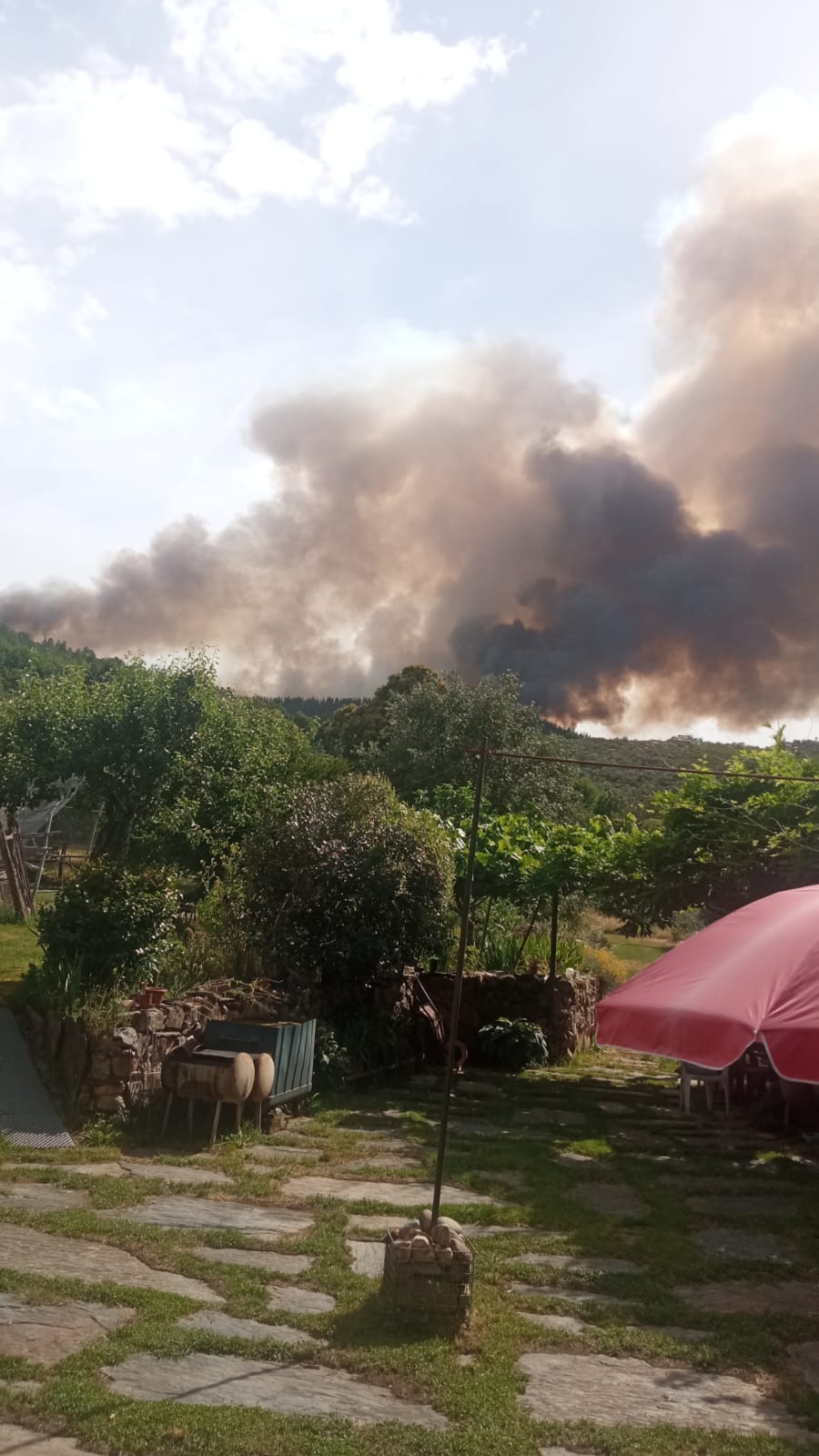 incendio San Vicente incendio San Vicente