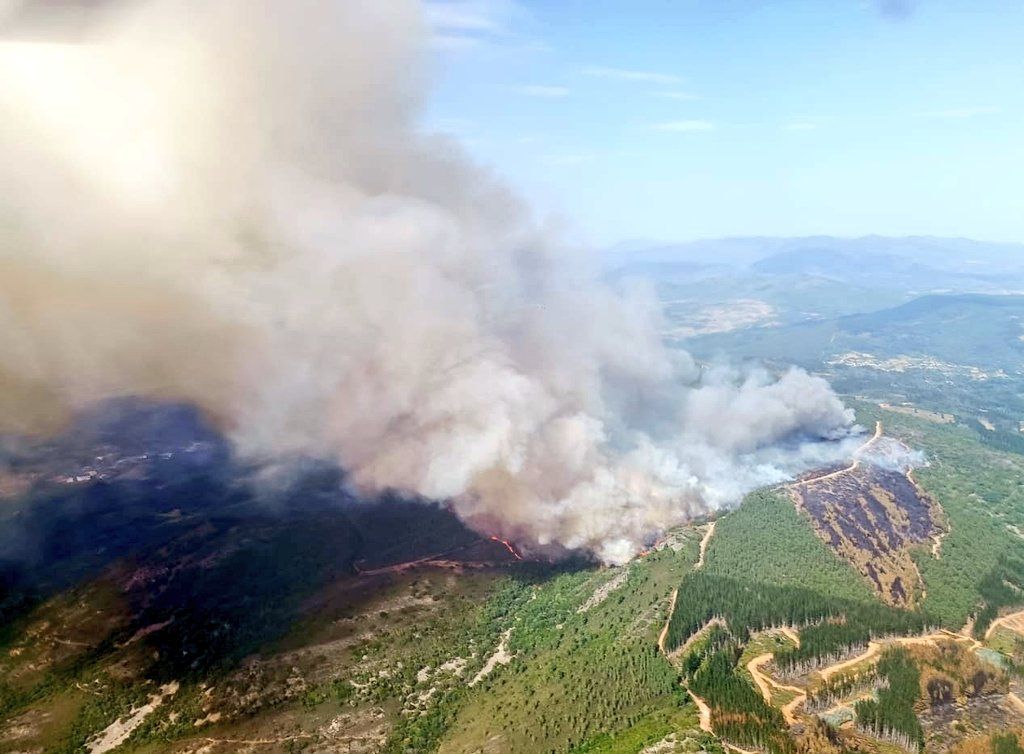 INCENDIO SAN VICENTE (2) INCENDIO SAN VICENTE (2)