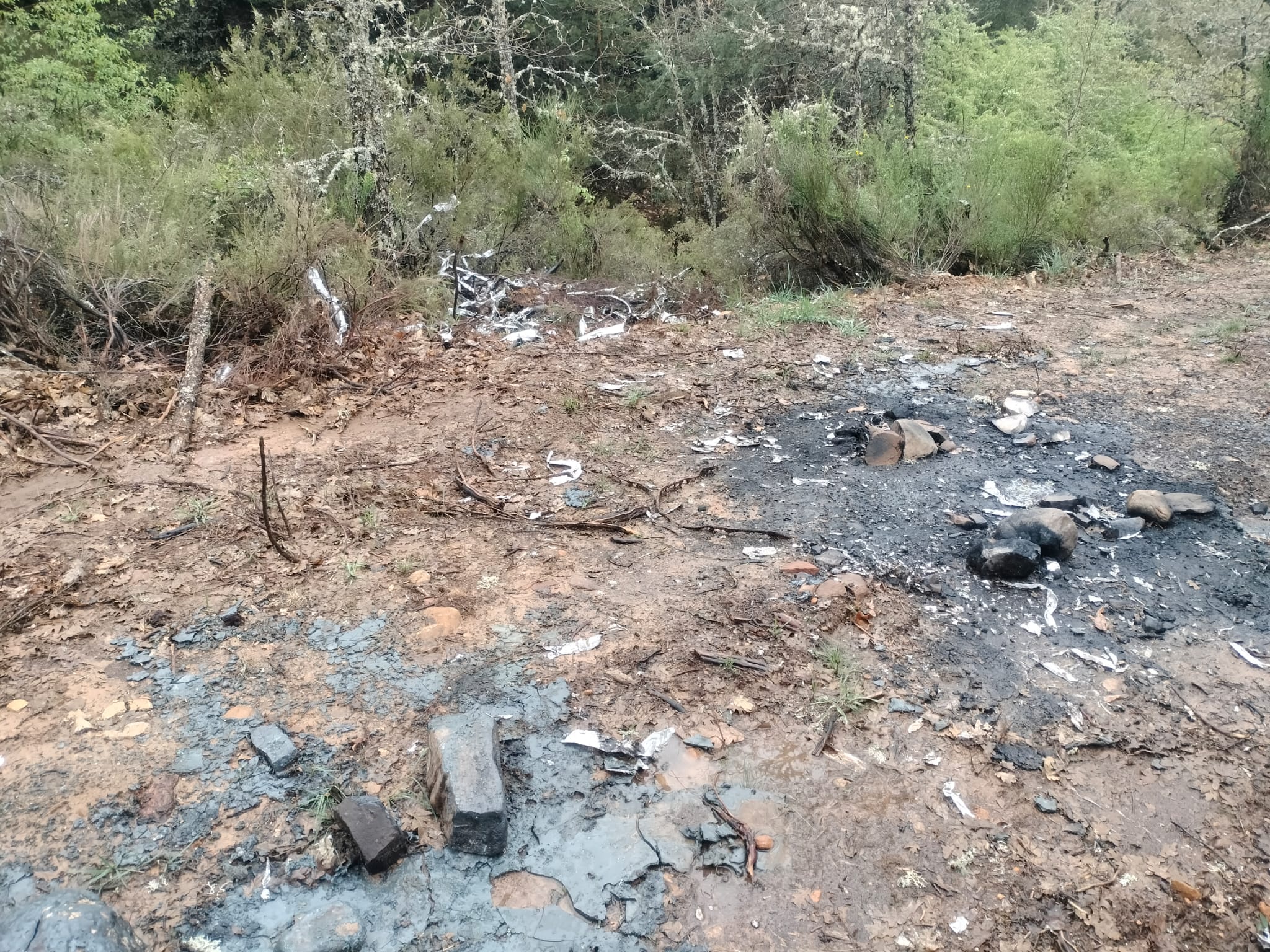 Imagen de cómo ha quedado la zona tras la actividad