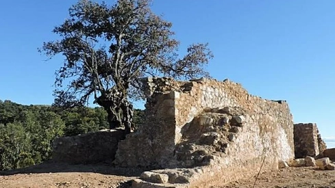 Los trabajos han protegido el algibe y afianzado muros.AYTO. SANTA COLOMBA