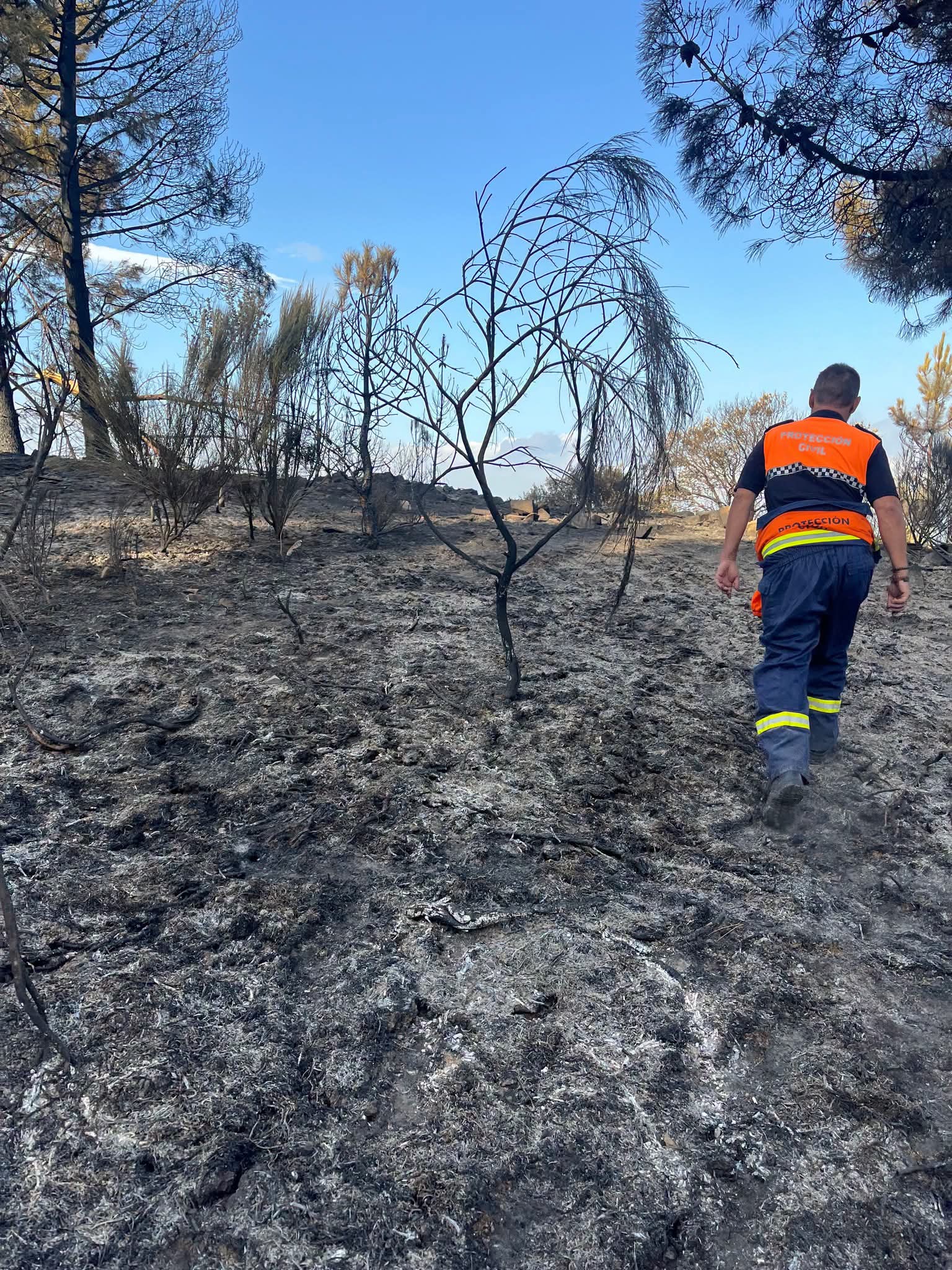 Villafranca comienza a ver los incendios sofocados. | PROTECCIÓN CIVIL