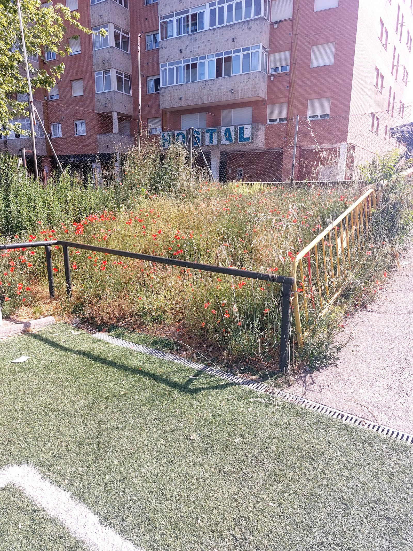 Quejas por el estado del entorno del campo de fútbol de Pinilla