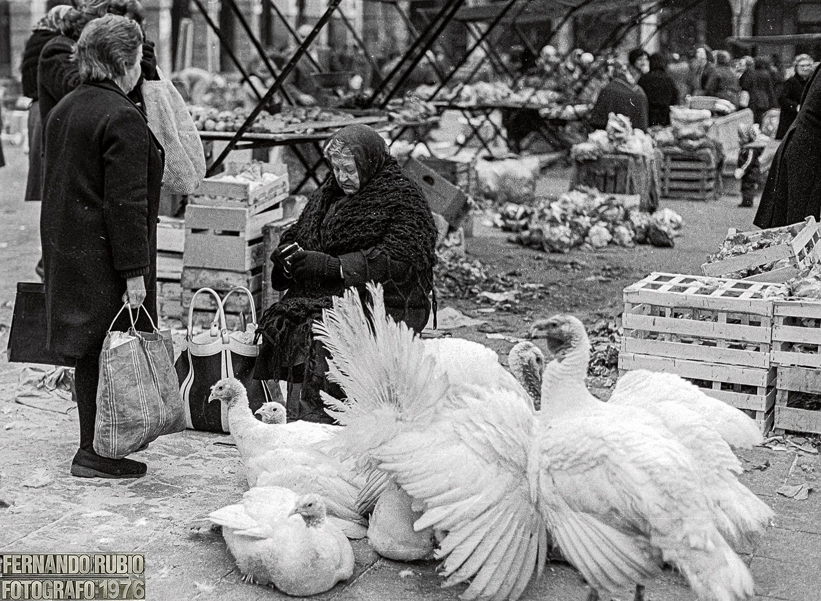 Estampa de mercado en la Plaza Mayor de León con el bullicio cotidiano del comercio tradicional y las vendedoras de la provincia a mediados de los 70. | FERNANDO RUBIO