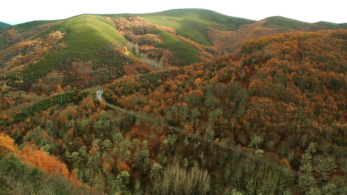 Paisaje otoñal en Los Ancares en una imagen de archivo. | REPORTAJE GRÁFICO: ICAL