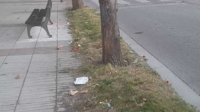 Mal estado en cuanto a limpieza y cuidado de las zonas verdes en el barrio de Flores del SIl. |M.I.