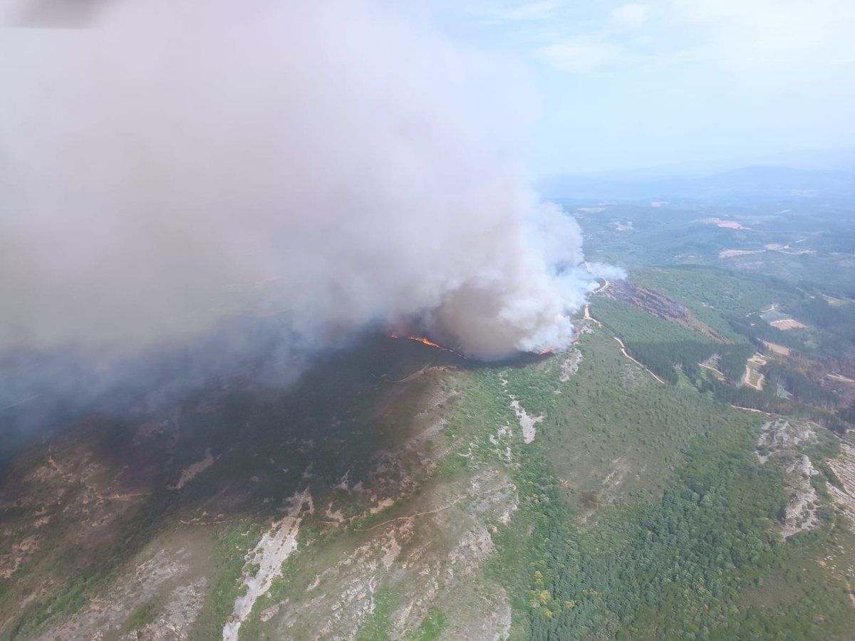 El incendio de San Vicente fue el primero de esta oleada en El Bierzo.