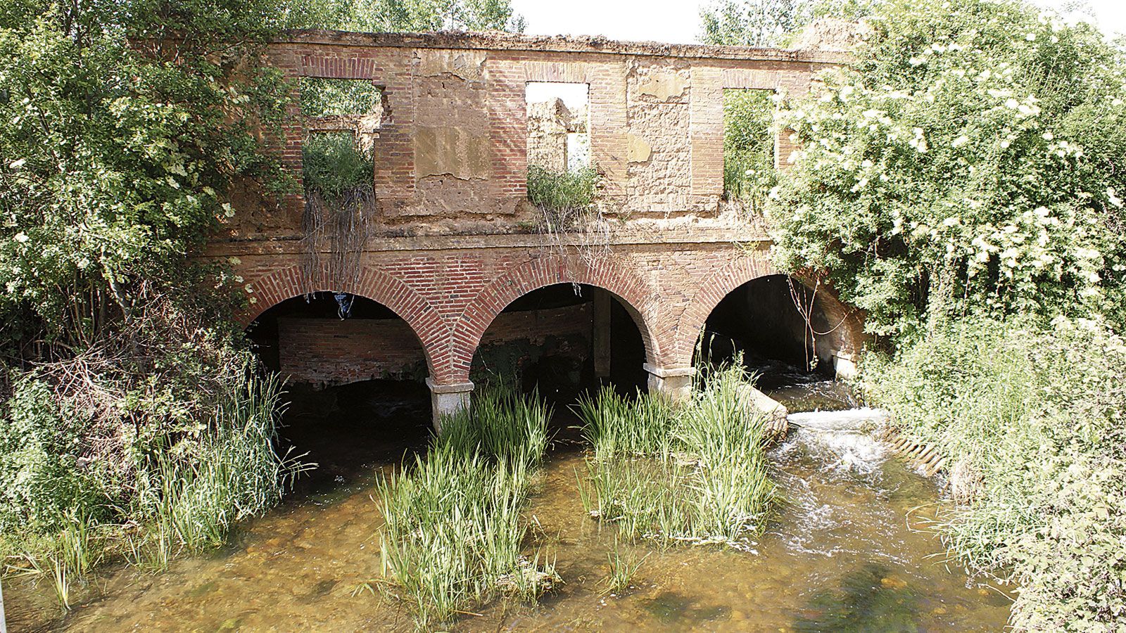 Molino en ruina ubicado en la localidad de Alcoba de la Ribera. | MARTÍN MUÑOZ