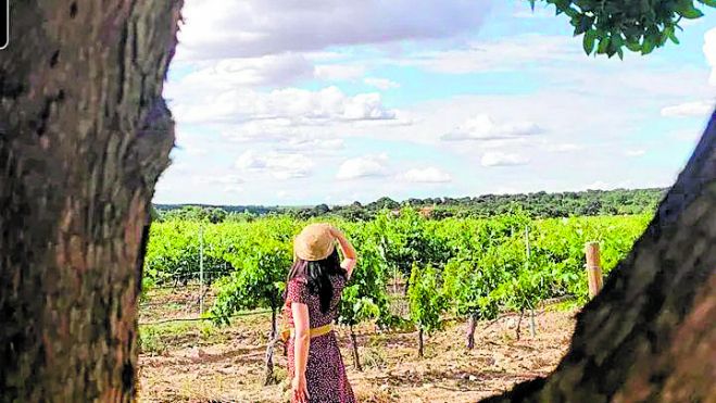 Enoturismo entre cepas centenarias y bodegas de referencia. RUTA DEL VINO DE TORO Enoturismo entre cepas centenarias y bodegas de referencia. RUTA DEL VINO DE TORO
