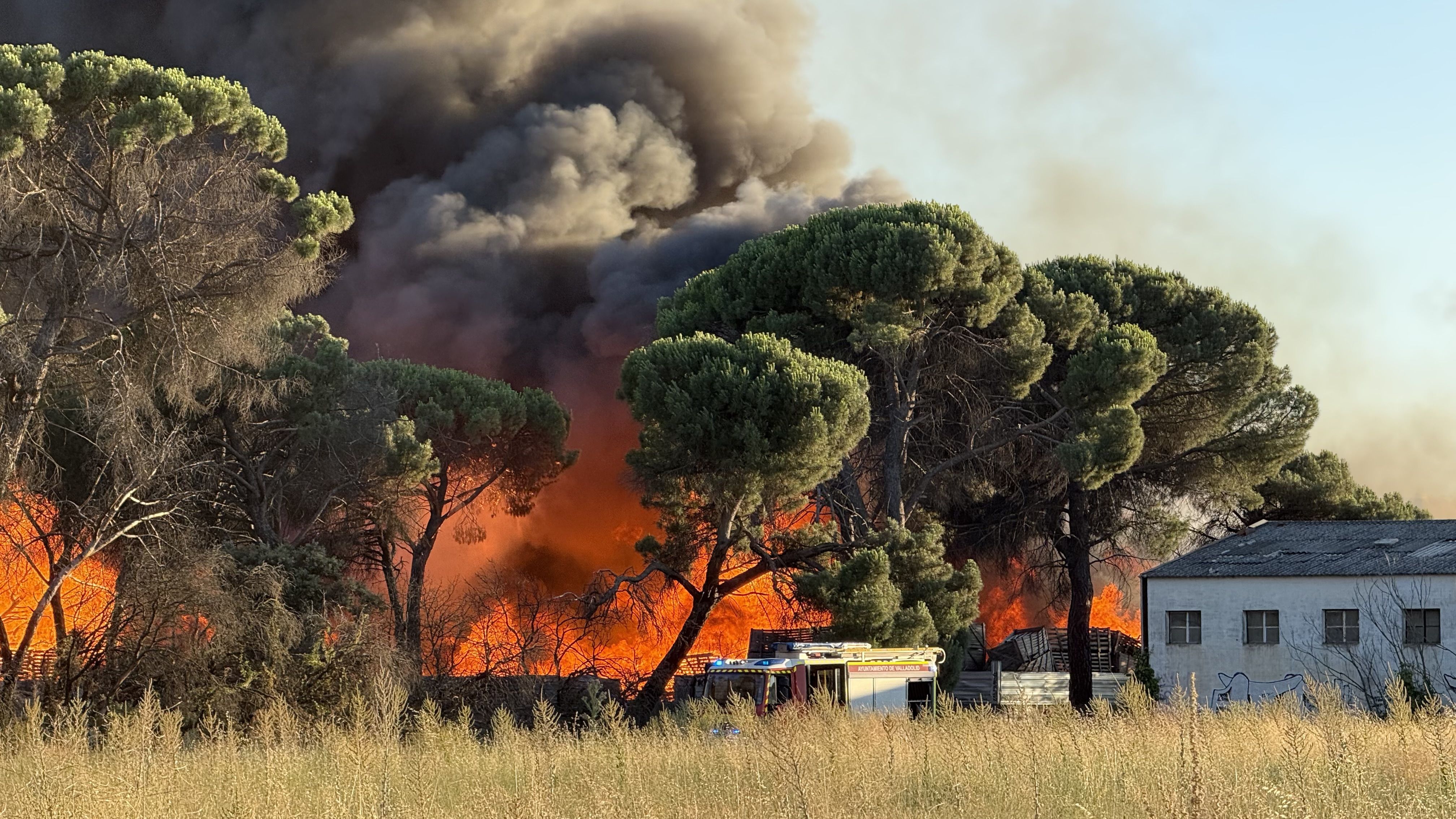 Incendio en una fábrica de palets en Valladolid | Leticia Pérez (Ical)