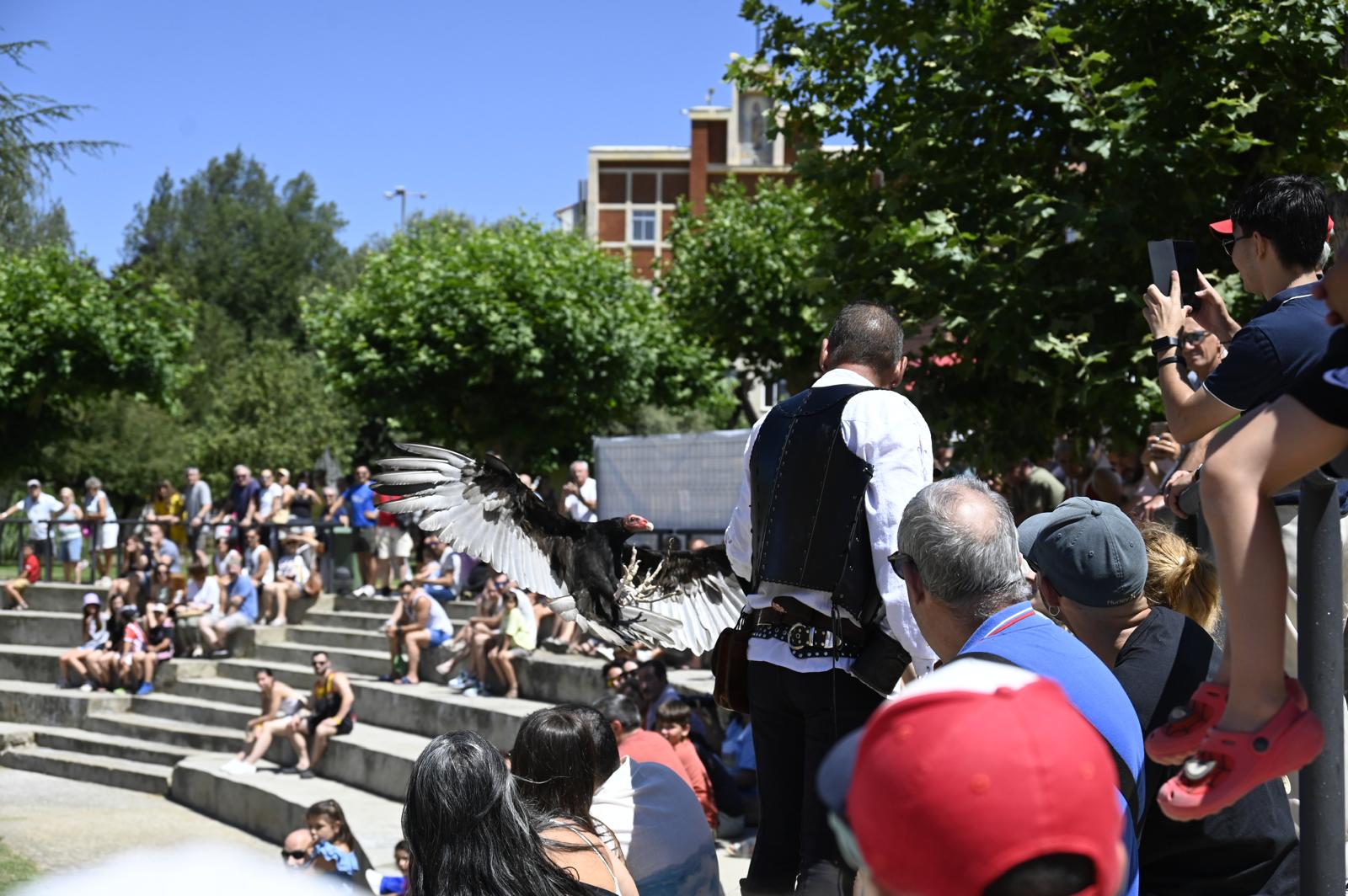 Mercado Medieval de Valencia de Don Juan. | SAÚL ARÉN